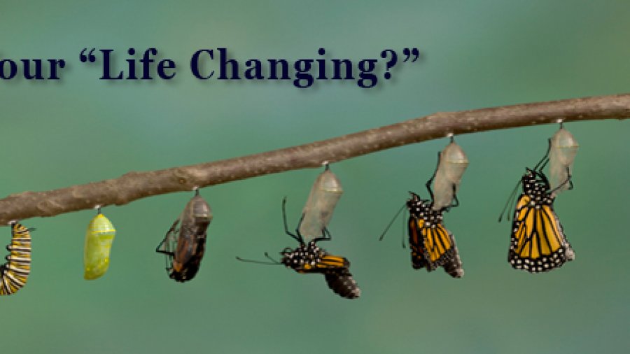 Is Your “Life Changing?”